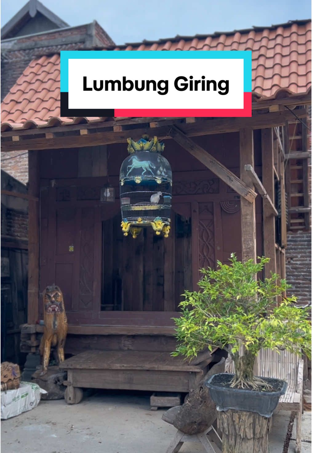 La nggih #fyp #lawasan #xybca #fypage 