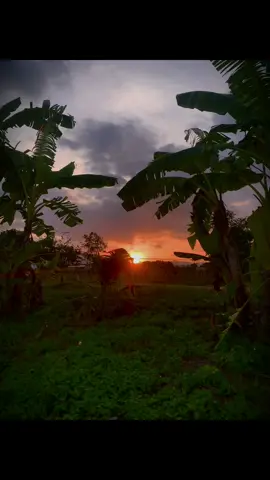 #xhhhhhhhhhhhhhhhhhhhhhhh #xuhuong #xh #xuhuongtiktok #cauca #caucagiaitri #caucatunhien #tranminhduc20112008 