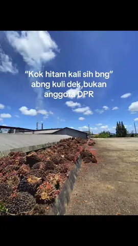 🔥🔥#berandafyp #kulipabrik 
