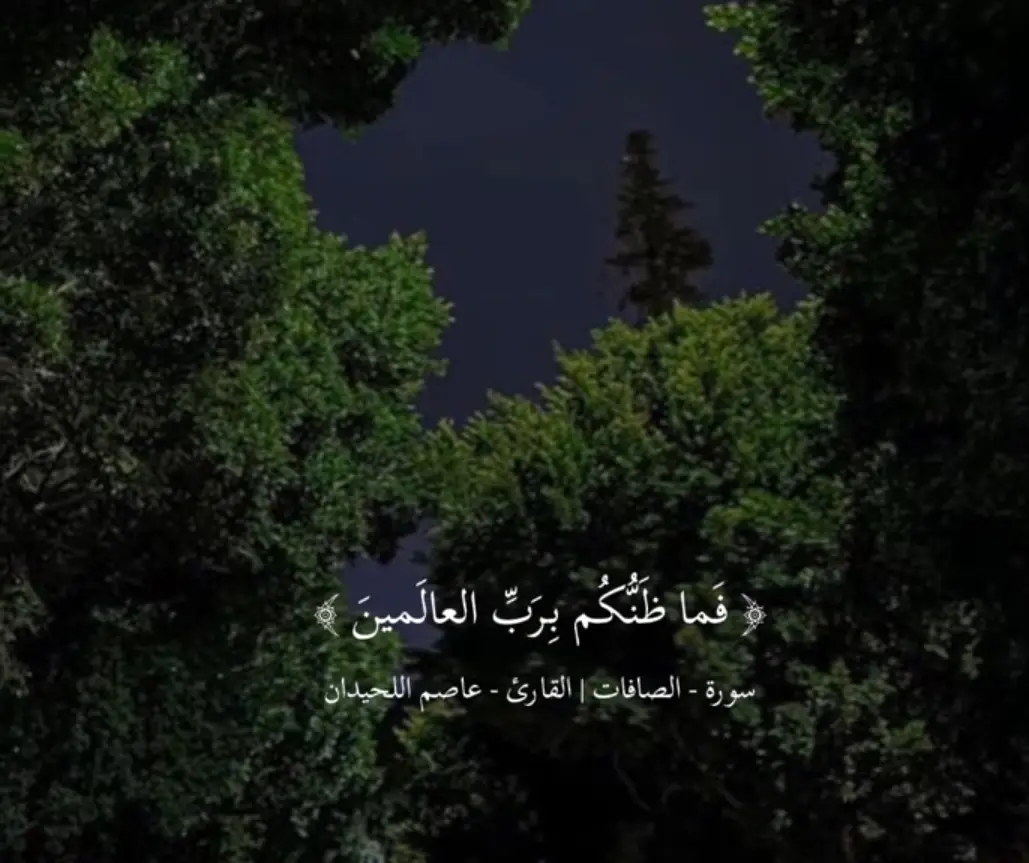 #عاصم_اللحيدان #راحه_وطمأنينه_للقلب #طمأنينة_لقلبك #parati #fyp #foryou 