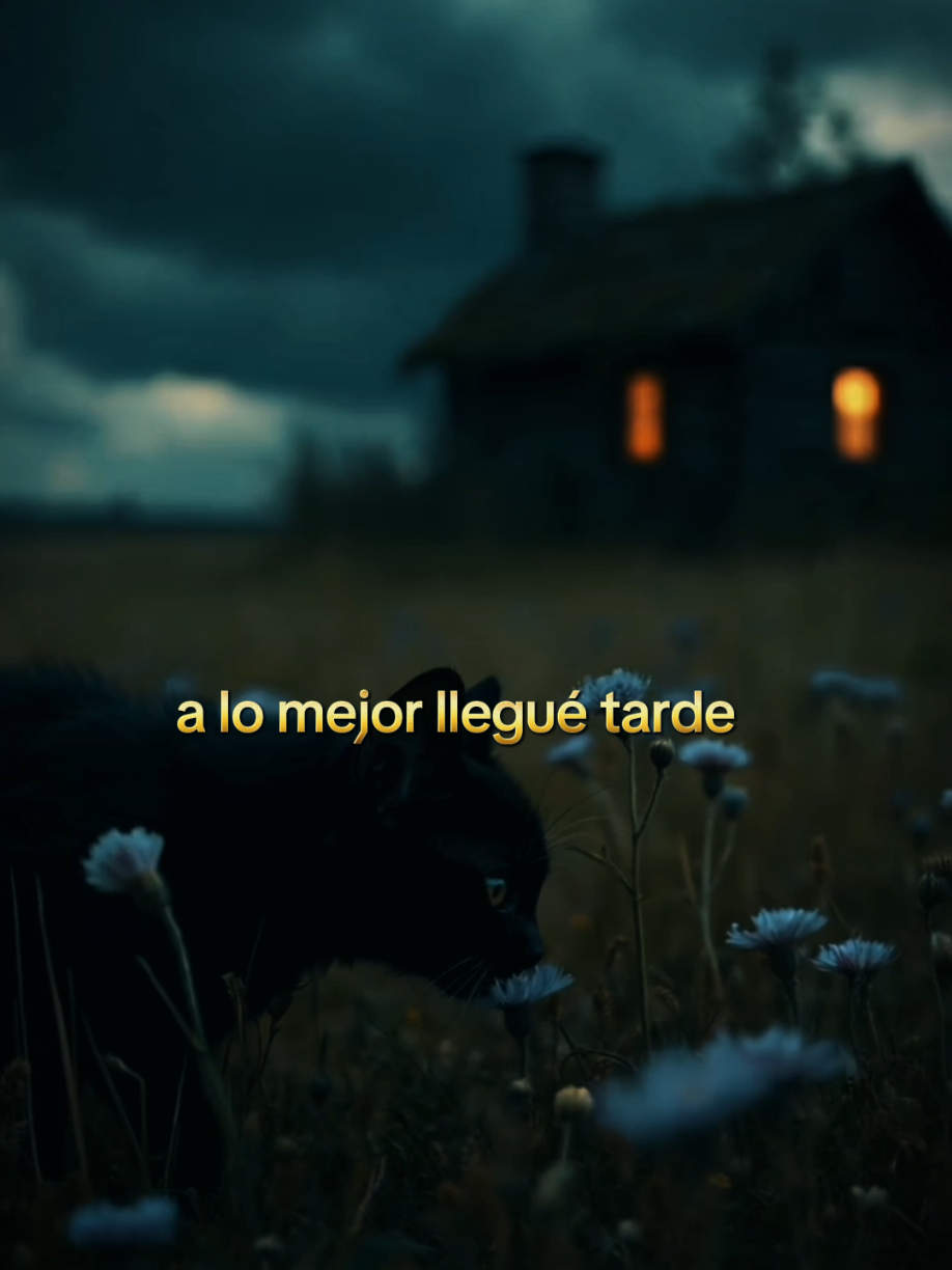 a lo mejor llegué tarde..#frasesbonitas #dedicatorias #estadosunidos🇺🇸 