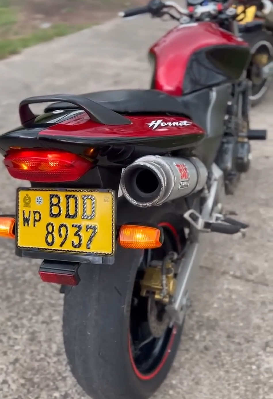 Honda Hornet 250 Sound 🐝🇱🇰 #srilanka #exhaust #hornet #250cc #srilanka #fyp #tiktok 