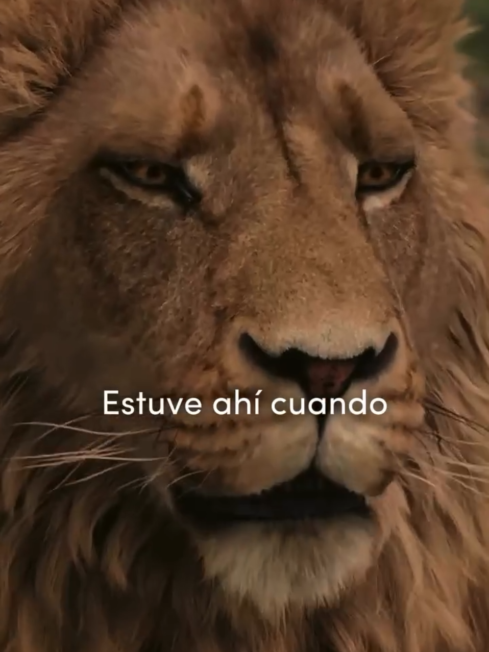 Estuve ahí cuando fue escrita #narnia #bruja #leon #Jesus #peliculas #biblia 