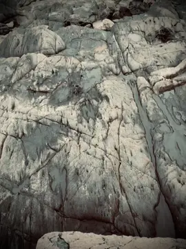 “生活有时并不残酷，只是我们期望太多。” “Cuộc sống đôi khi không tàn nhẫn, chỉ là ta đã kỳ vọng quá nhiều.”