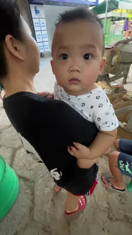 ối giồi 
