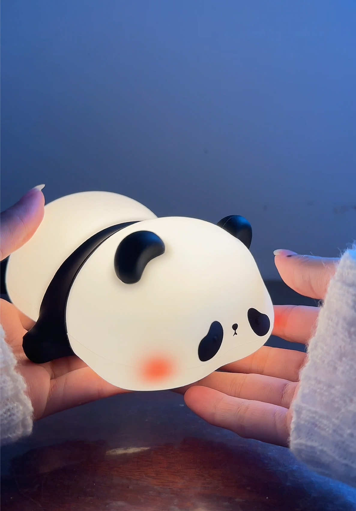 adorable panda night light! ⋆౨ৎ˚⟡˖ ࣪ #nightlight #pandalamp #adorable #nightlamp #panda #light #lamp #led ###squishy##rechargeable #foryou #fyp 