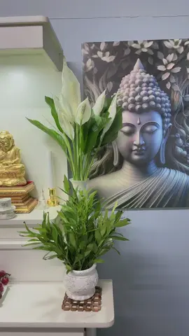 မနက်ဖန် တခူးလပြည့်  စီးပွါးတက်၊ လာဘ်ပွင့်စေတဲ့ ရှင်သီဝလိပန်းလေးတွေ မြတ်စွာဘုရားရှင်ဆက်ကပ်ပူဇော်ပါ​၏ အခုအချိန် ဆုတောင်းမိတာမြန်မာပြည်ကြီးအေးချမ်းပါစေ မြန်မာနှစ်ကူးမှာ ပိုက်ဆံဆိုတာရှာရမခက် ပြုံးပြုံးကြီး လှူနိုင် သုံးန်ုင်ကြပါစေ #မယ်ခေး#designerhninluneain #မြန်မာပြည်ကြီးအေးချမ်းပါစေ🙏🙏🙏 #view #tiktok #myanmartiktok🇲🇲🇲🇲 