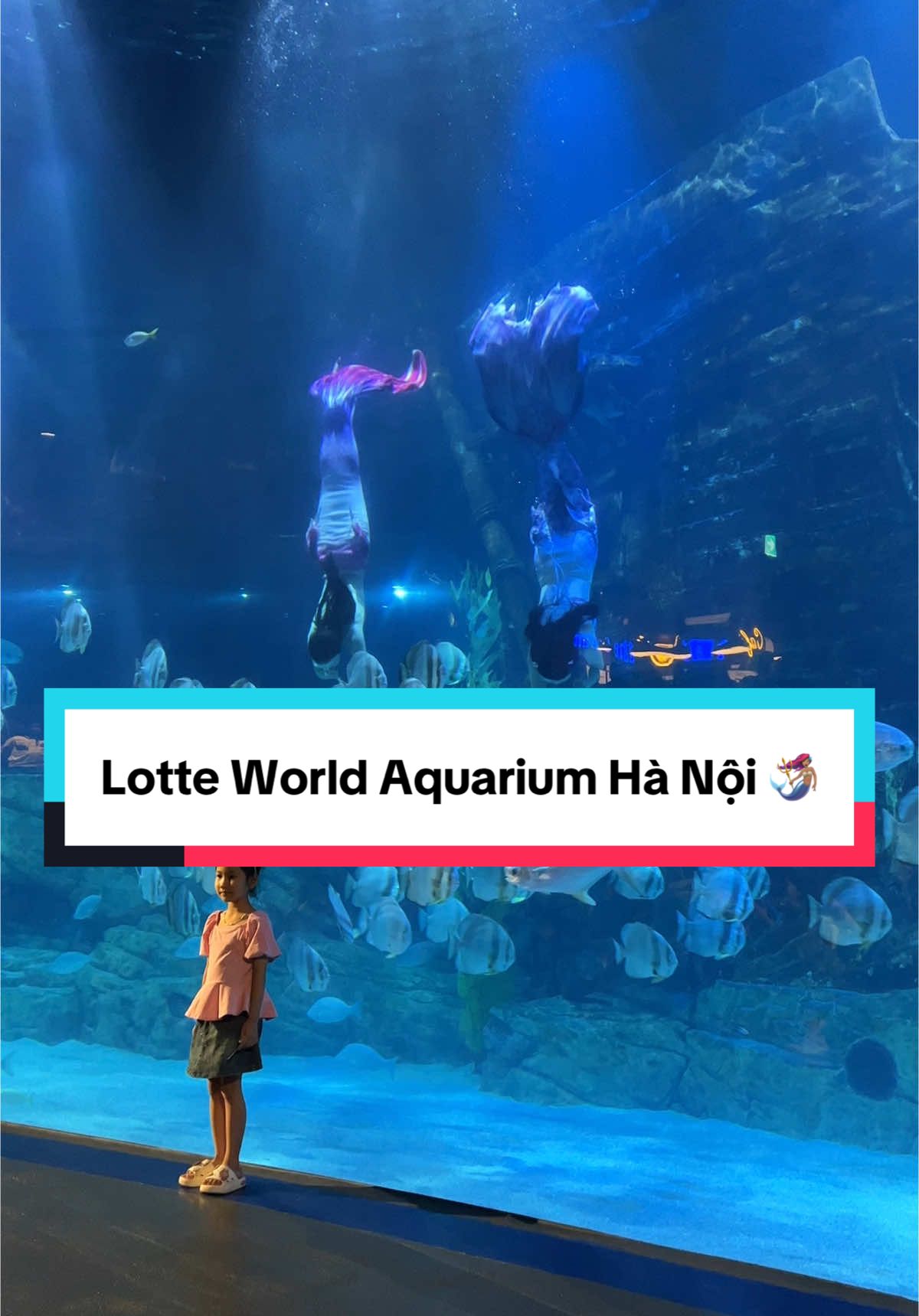 🧜🏽‍♀️🧜🏽‍♀️ Lotte World Aquarium Hà Nội - Một trong những điểm checkin hot hit nhất tại Hà Nội 🥰 #lotteworldaquarium #hanoi #aquarium #thuycung #lotte #lottemalltayho #mermaid #tiktokgiaitri #tiktokreviews #canhdep #tiktokviral #tiktokreviews #viral #xuhuong #xh #thaoshin2410 💓