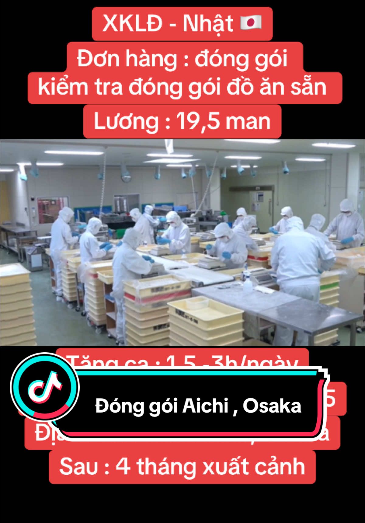 Nhận cặp vợ chồng hỗ trợ đỗ cả 2 #xkldnhatban #xkldnhatban✌🏻✌🏻✌🏻 #xkldnhatban_uytin #xkld_nhật_bản #nhatbanchotoinhe 