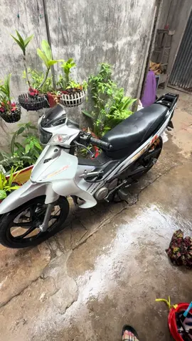 Hồng đâu chưa thấy 🥹 thấy 🌧️ tới nữa rồi 😤#y125zr #xuhuongtiktok #rachgia #68kiengiang 