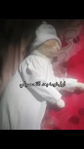 بس بحلم اني مارحت اختبر واقوم متروعه #fyp #تحصيلي #حسبي_الله_ونعم_الوكيل #قياس #طالب_مدعوس_من_كل_مكان 