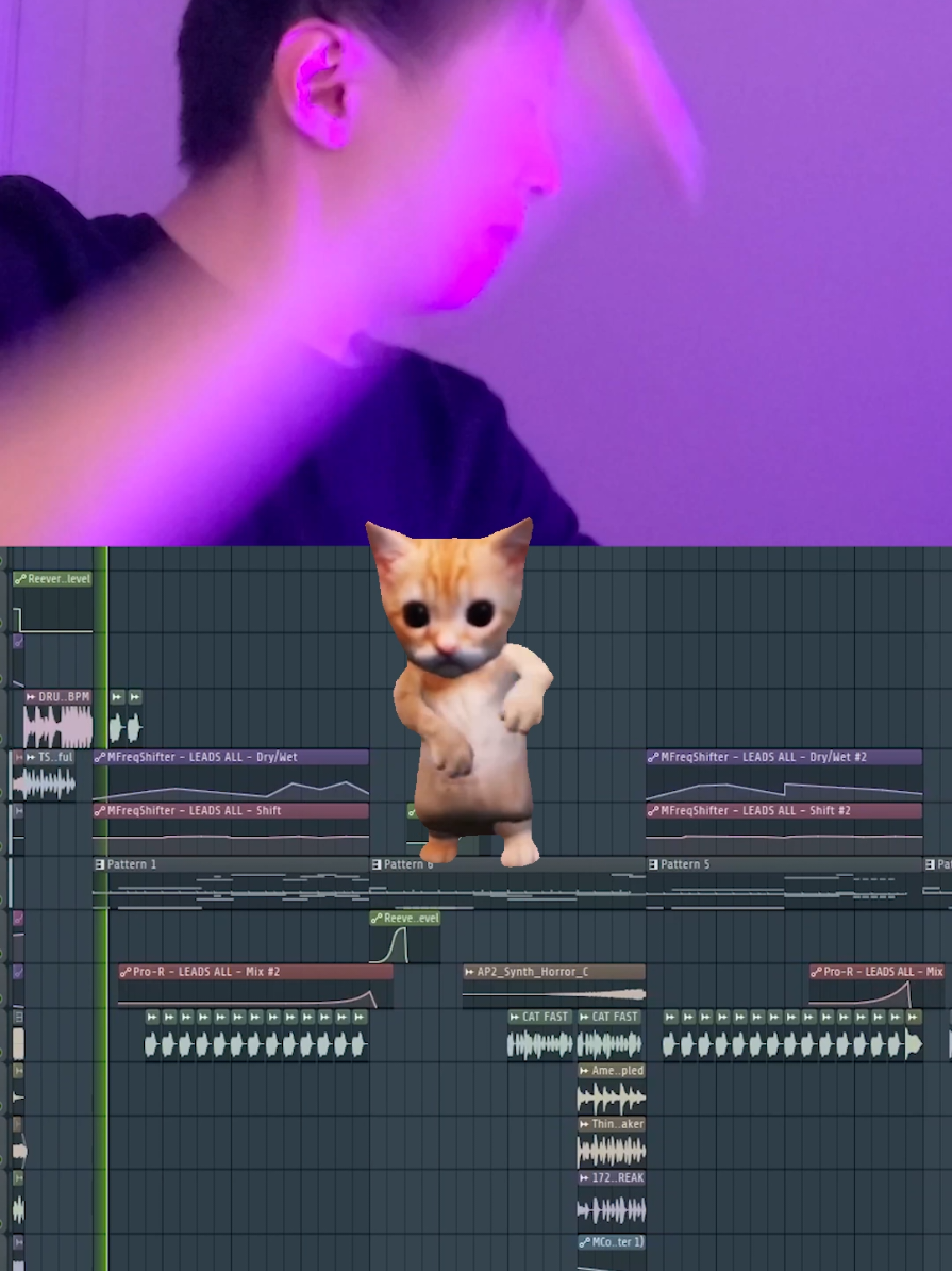 OIIA Cat is out now on all streaming platforms! 🙌  #dnb #drumandbass #spinningcat #edm 
