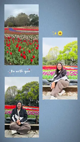 #tulips#🌷 #kisosansenpark #🇯🇵 #fyp 