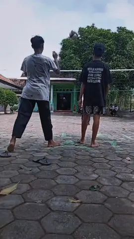 perusak net 