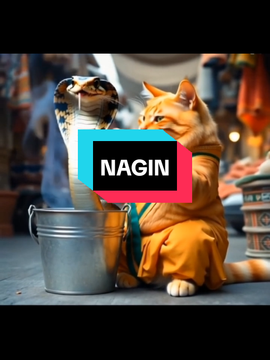 nagin #kucing #kucinglucu #laguindia #prindavan #sulingindia #ular #ularkobra #miaumiau #miaw #miawmiaw #kartun #cat #orangecat #kartunkucing #oyen #kucingoyen 