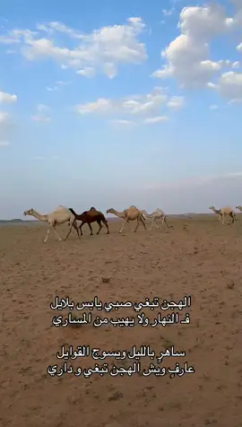 #لايك #اكسبلور #fypシ #explore 