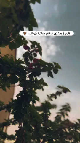 #جزء 63 |#قناتي_تليجرام_بالبايو💕🦋 #عباراتكم_الفخمه📿📌 #تصويري_احترافي_الاجواء👌🏻🕊😴 #لايك_متابعه_اكسبلور_لو_عجبكم 
