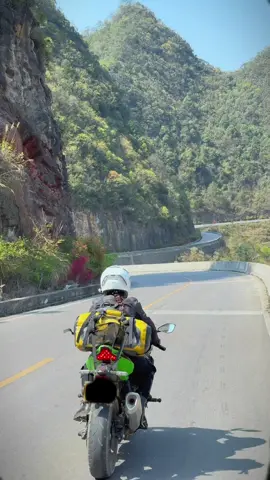 Lễ này AE dự định phượt đâu chưa?  #phuotbuistore #phuot #phuotluon #phuotbui # #touring #touring24h #winner #xepklvn #tuichongnuoc #tuichongnuocmotowolf #tuidiphuot #tuichongnuocdanang #tuichongnuocdiphuot #tuichongnuocmotowolf0717 #tuichongnuoc40l #tainghenonbaohiem #tainghebluetoothganmubaohiem #gangtaydixemay #gangtaydiphuot #gangtaymotowolf #laixecongnghe #shipper #dammexepkl #aomuabomotowolf 