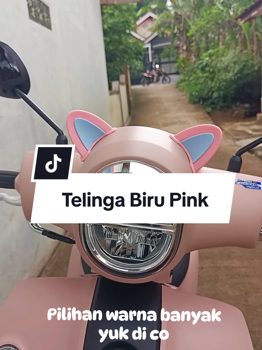 Ternyata pake telinga biru pink juga cakep iiiih .. bisa juga buat sepeda listrik & helm gaisss  #helmtelingakucing #telingakucing #lucuu #motorlucu #fazzio #fazziopink #topilampu #masyaallahtabarakkallah 