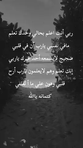 ربي انت اعلم بحالي  #لاتنسوا_ذكر_الله🤍 #والنعم_بالله_العلي_العظيم  #رسول_الله_صلى_الله_عليه_وسلم  #النور #اكسبلور #اعادة_نشر🔁 