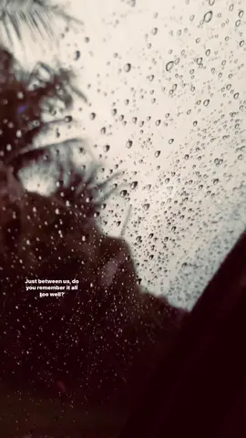#lyrics 