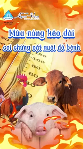 Mùa nóng kéo dài - Coi chừng vật nuôi đổ bệnh #aquavina #thuoc_thu_y #thuocthuysan 