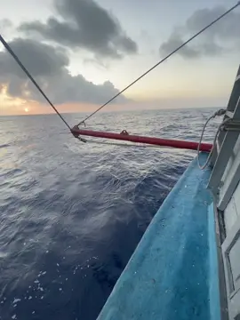 Có mấy khi ai yêu nhiều đến nỗi, cứ nghĩ suy dù chuyện qua đi…#story #tamtrangbuon #fyp_viral_tiktok #viral #tinhyeu #xhtiktok #chill #hashtag #viralvideo #xuhuong #xuhuongtiktok #hoanghon #qk @THANHTIEN🌅 