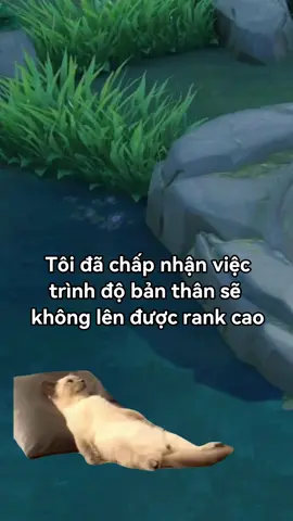 +2 máy báo team cuối mùa #CapCut #lienquanmobile  #lienquan #aov #fyp #lienquantiktok 