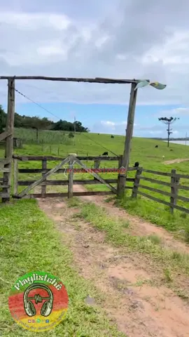 É sexta-feira, gurizada!  Bom dia! 🧉🪗 . . . . #humor #meme #riograndedosul #santacatarina #parana #tradição #gaucho #tradicaogaucha #chimarrão #playlistche #spotify #rs #playlist #musicagaucha 