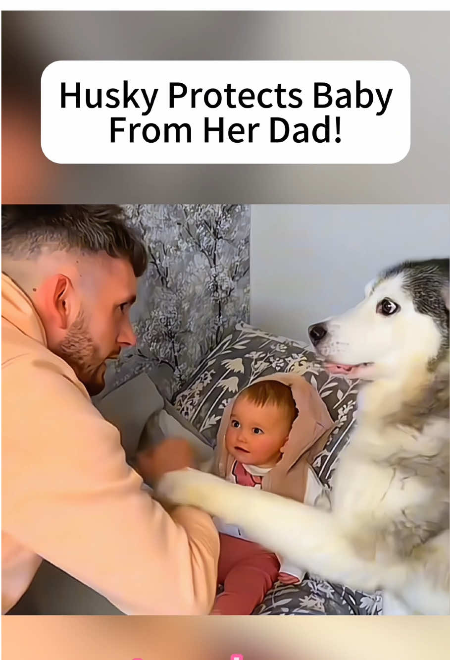 🐶👶🏻The dog guards the child’s growth #pets #usa🇺🇸 #dog #fyp #sweet 