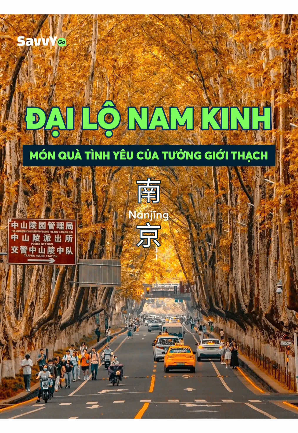 Con đường tình yêu đẹp nhất Trung Quốc không nằm ở Thượng Hải hay Bắc Kinh… mà ở Nam Kinh, dưới hàng ngô đồng được trồng vì một câu nói… Nếu muốn biết tình yêu đẹp như thế nào, hãy đến Nam Kinh vào mùa hè này! 🍃 📍 Đại Lộ Ngô Đồng Nam Kinh (南京) #namkinh #trungquoc #dailongodong #dulichtrungquoc #xuhuong  #savvygo 