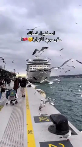 خصم لفترة محدودة! 🇹🇷✨   المدينة اللي ما تنام تنتظرك بجمالها وسحرها!   احجز الآن مع الرؤيا المتميزة قبل ما ينتهي العرض! ✈️❤️‍🔥 #الرؤيا_المتميزة #fyp #اكسبلور #سفر 
