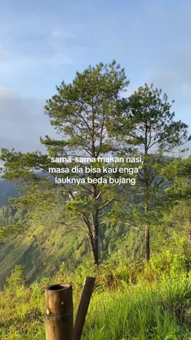 awak makan ikan asin