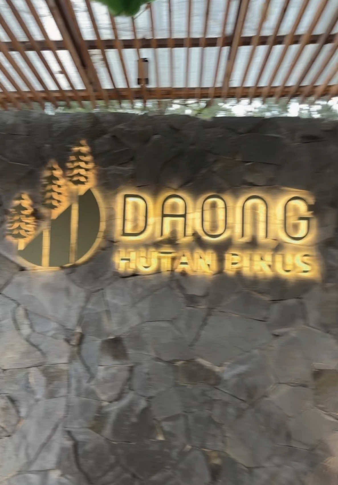 Memang sedap sore sore kesini, walaupun kebingungan pas pulang 🫵🏻🙂 btw aku pp naik grab dari st bogor ke kopi daong  #kopi #kopidaong #hutanpinus #bogor #hangout #withfridens🥰💖🥺 