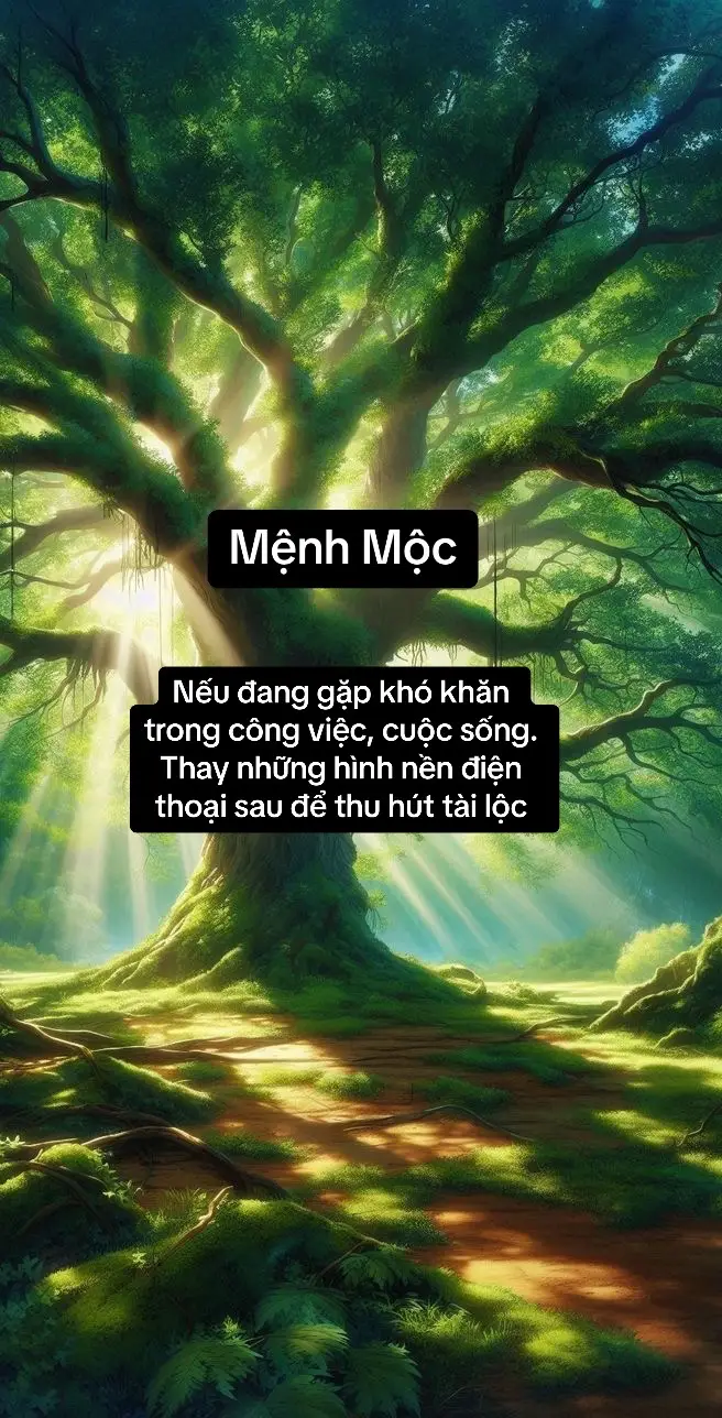 #xuhuong #trending #fyp #ilovetiktok #phongthuy #theanh28 #viral #menhmoc 