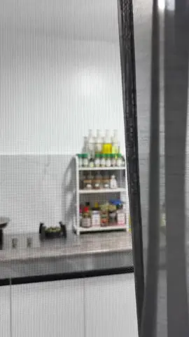 2/3 Layers Kitchen Spice Rack Sauce Vinegar Spice Storage Countertop Wooden Shelf Multipurpose Seasoning Storage Condiment organizer Container team puti Steel kitchen rack #kitchenshelf #rack #fyp #fypage #foryou #foryoupage 