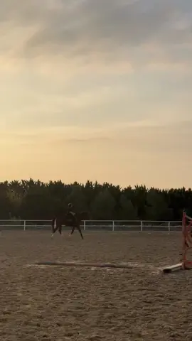 #horse 
