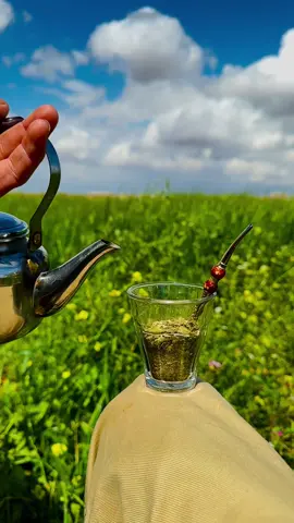 َفـاهِـربــ بنـفسكَ واسـتانســ بوحـدتـk💚🧉#المحترف #رواق #متة_على_رواق #تصويري📸 #ملللللللللللللللل #ريف_سراقب #كفرعميم #ربيع 