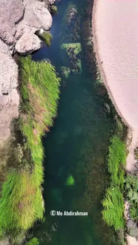 Durdurkq magalada xeebeedka maraya gobolka nugaal#moabdirahman01 #puntlander🇸🇱 #nugaal #eyl 