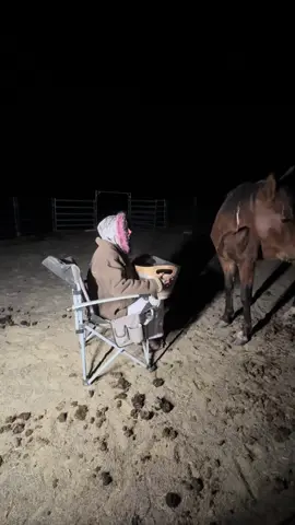 Back in melbs feeding my wild brumby friends  💕🫶🏼 #amberluke #fyp #tattootiktok #australiasmostattooedwoman #trending #foryou 