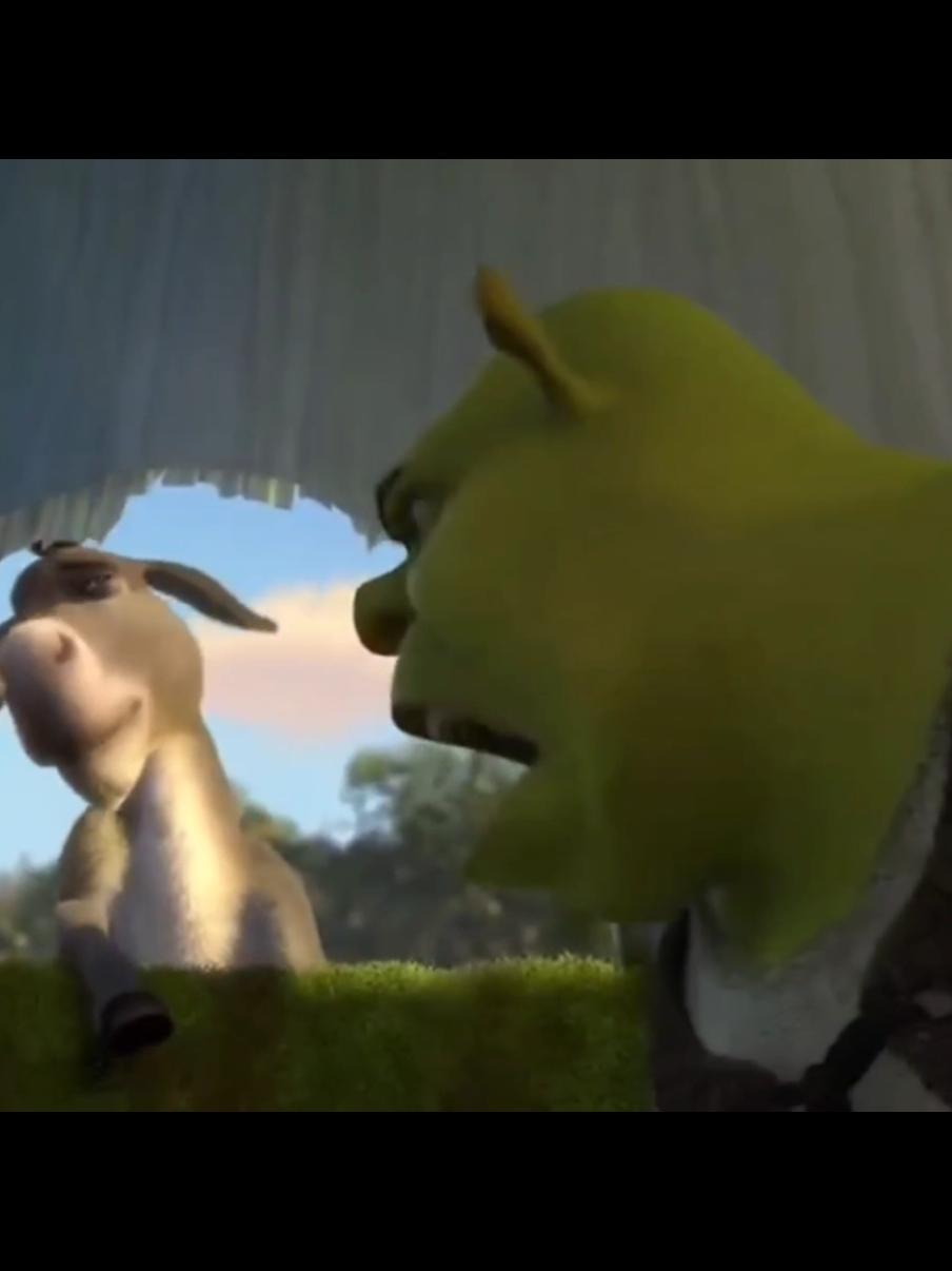 Shrek 2 😂😂😂  #tik_tok #fyp #viral_video #balkan #croatia #foryouu #komedija #🤣 #😂 #smijeh 