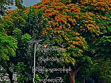 အကုန်ချစ်ပလိုက်#crd #fyppppppppppppppppppppppp #စာတို #p 
