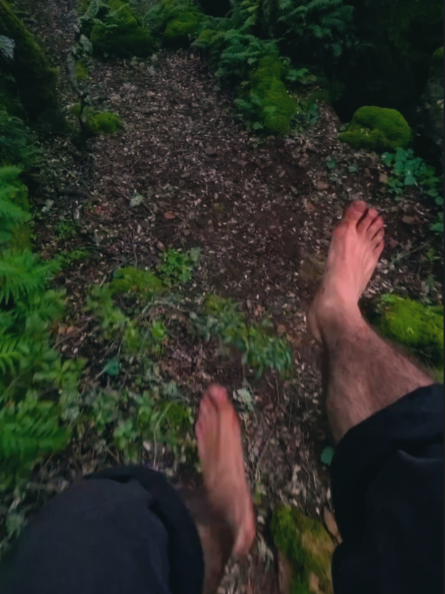 #primalmovement #barefoot #insta360 #run #trailrunning #add #ferns #moss #forest #strengthandconditioning #mountain #wild 