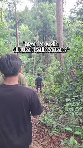 part 2 air terjun kmj#fyp #CapCut #pesonaindonesia 