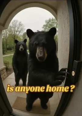 #ring #doorbell #house #homedecor #xybca #fyp #bts #viral #me #tik_tok #funny #flyp #usa_tiktok #uk_tiktok #truestory #wtf #bear 