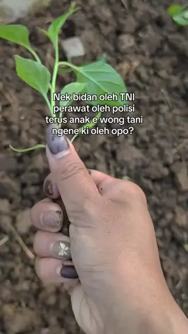 oleh opo? #anakpetani🌾 #fyppppppppppppppppppppppp #masukberanda #karanganyar 