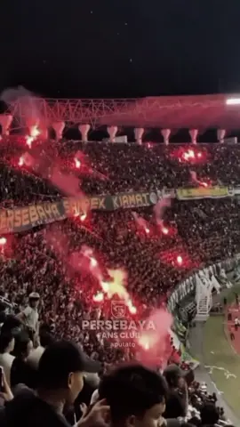 Persebaya selawase ngancani💚#persebaya #bonekmania #selawase #bonekbonita 