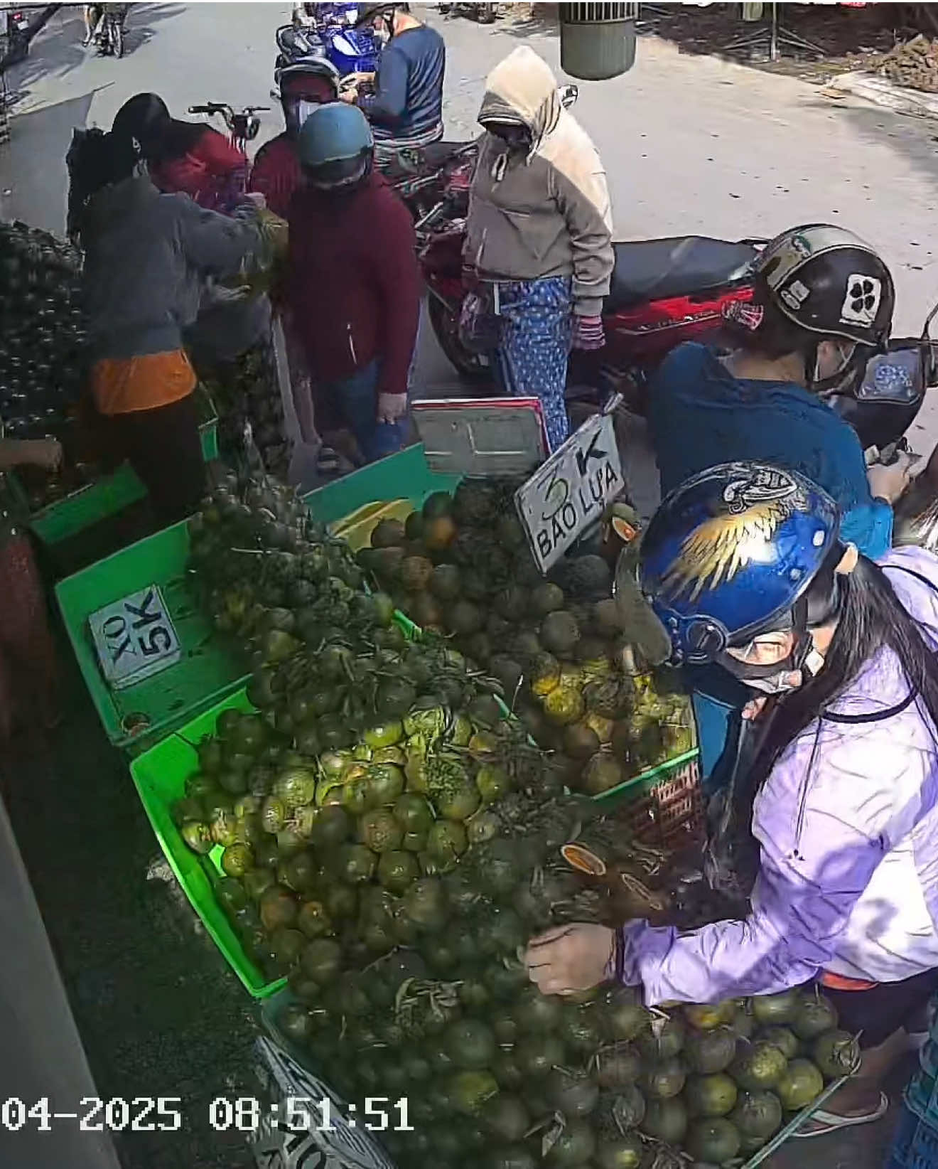 Khế rụng bờ ao, ngọt ngào em cũng chuộng Chớ trái cam sành héo cuống em chê #camsanhvinhlong 