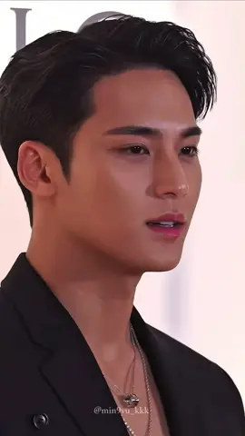 #mingyu #seventeen 