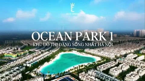 Ocean Park 1- 